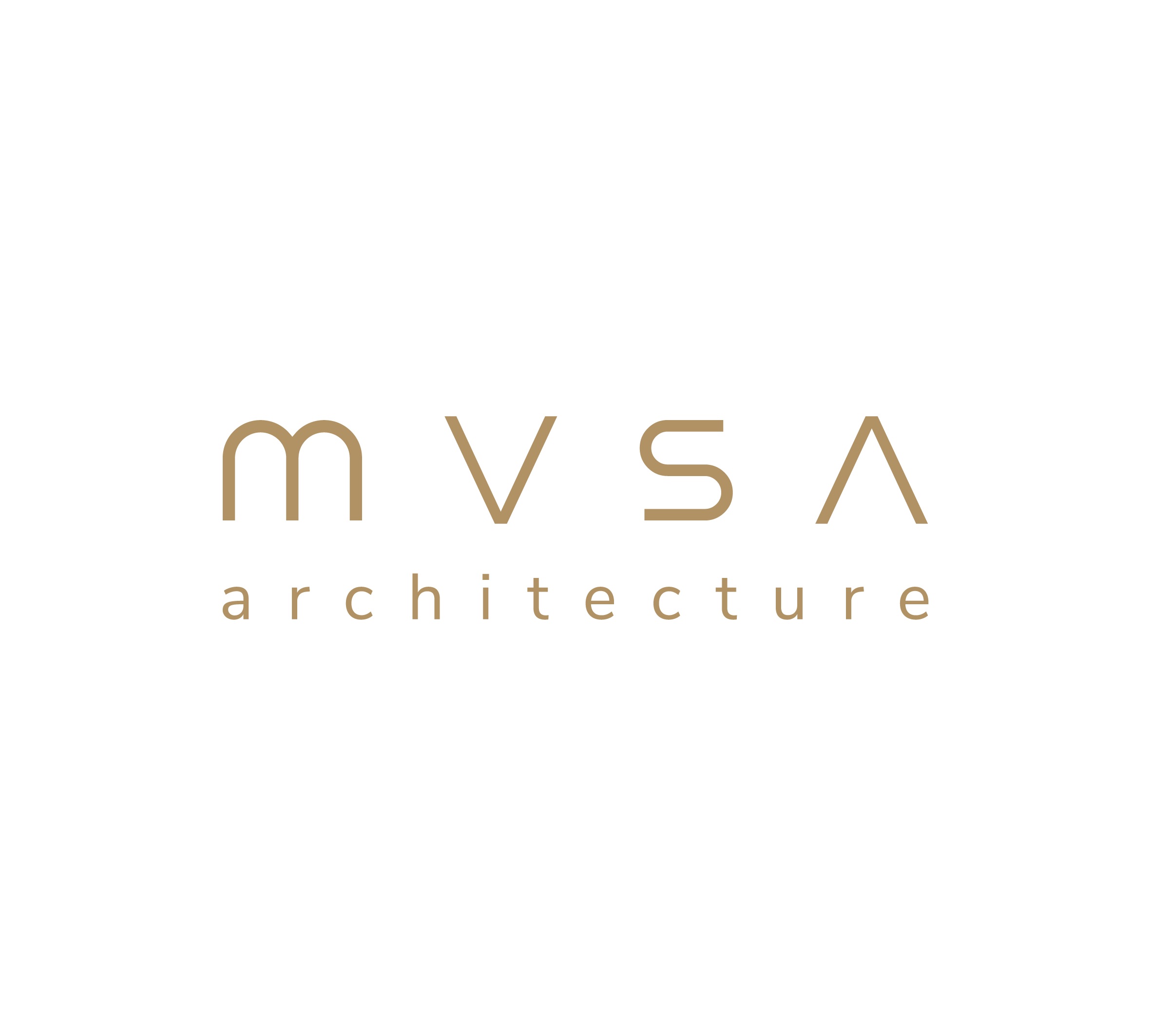 MVSA architecture